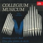 Collegium Musicum – Collegium Musicum. Hommage a J.S. Bach MP3 – Hledejceny.cz