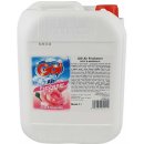 GO! Air freshener rose a magnolia 5 l