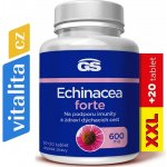 GS Echinacea Forte 600 mg XXL 90 + 20 tablet – Hledejceny.cz