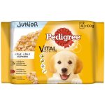Pedigree Junior Kuřecí a krůtí maso v želé 4 x 100 g – Sleviste.cz