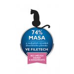 Brit cat Premium Fillets jelly Salmon 85 g – Hledejceny.cz