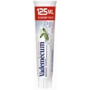 Vademecum Anti Caries & Naturel zubní pasta pro podrážděné dásně příchuť Sage & Mint (Protect from Caries, Calm Down Irritated Gums) 125 ml