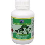 Australian Remedy Ginkgo 2500 100 kapslí – Hledejceny.cz