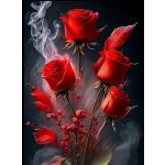 Norimpex diamantové malování Květy růže v dýmu 30 x 40cm – Sleviste.cz