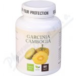 Natural Medicaments Garcinia Cambogia 90 kapslí – Hledejceny.cz