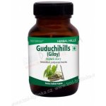 Herbal Hills Guduchihills 60 kapslí – Hledejceny.cz