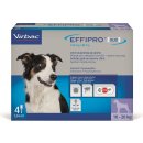 Effipro Duo Spot-on Dog M 10-20 kg 4 x 1,34 ml