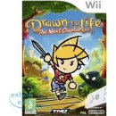 Hra na Nintendo Wii Drawn to Life: The Next Chapter