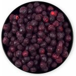 Grizly Borůvky lyofilizované 50 g – Sleviste.cz