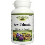 Natural factors Saw Palmetto 90 kapslí – Hledejceny.cz