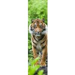 Záložka 3D - Tygr Bengálský – Zboží Mobilmania