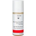 Dr.Hauschka Šalvěj Máta deodorant roll-on 50 ml – Sleviste.cz