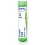 LACHESIS MUTUS POR 5CH GRA 4G – Hledejceny.cz