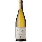 Escorihuela Gascon Viognier 12,5% 0,75 l (holá láhev) – Hledejceny.cz