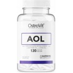 OstroVit AOL Siła L-Arginina 120 kapslí – Hledejceny.cz