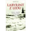 Elektronická kniha Labyrint z ledu: Triumf i tragédie polární výpravy A. W. Greelyho - Buddy Levy