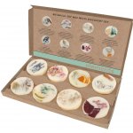 Stoneglow Elements Sada 8 ks sójových vosků 240 g – Zbozi.Blesk.cz