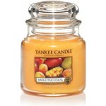 Yankee Candle Mango Peach Salsa 411 g – Sleviste.cz