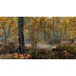 The Elder Scrolls 5: Skyrim (Special Edition) – Zboží Živě