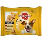 Pedigree Adult ve šťávě hovězí krůtí 4 x 100 g – Hledejceny.cz