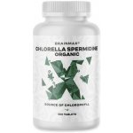 BrainMax Chlorella Spermidine Organic 500 tablet – Hledejceny.cz