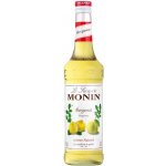 Monin Agáve 0,7 l – Zboží Dáma