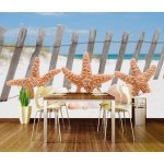 Dimex XL-178 vliesová fototapeta na zeď Starfish rozměry 330 x 220 cm – Zboží Mobilmania