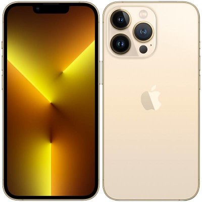 Apple iPhone 13 Pro Max 128GB Gold – Zboží Živě