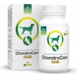 Pokusa ChondroCare Complex doplňky stravy pro psy 120 ks – Hledejceny.cz