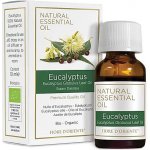 Natural Esenciální aroma olej Eukalypt 10 ml – Hledejceny.cz