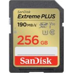 SanDisk SDXC UHS-I U3 256 GB SDSDXWV-256G-GNCIN – Hledejceny.cz