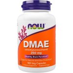 Now Foods DMAE 250 mg 100 kapslí – Hledejceny.cz