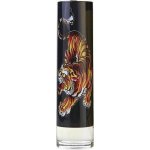 Christian Audigier Ed Hardy toaletní voda pánská 100 ml – Zboží Mobilmania