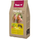 Pavo Healthy Treats Apple 1 kg – Zboží Dáma