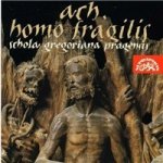 Schola Gregoriana Pragensis - Ach, homo fragilis CD – Zboží Mobilmania