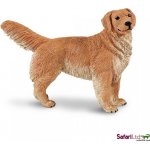 Safari Ltd. Zlatý retrívr – Hledejceny.cz