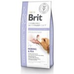 Brit Veterinary Diets Dog GF Gastrointestinal 12 kg – Zboží Mobilmania