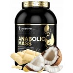 Kevin Levrone ANABOLIC MASS 3000 g – Zboží Dáma