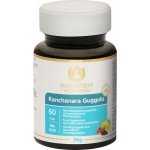 Maharishi Ayurveda Kanchanara Guggulu 60 kapslí – Hledejceny.cz