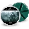 Vonný vosk Goose Creek Candle Vonný Vosk Forest 59 g