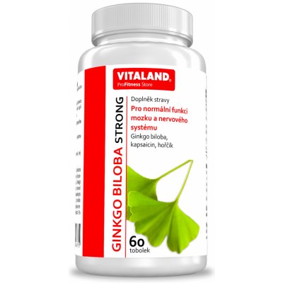 Vitaland Ginkgo Biloba Strong 60 tablet