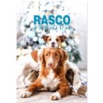 RASCO Premium adventní kalendář pro psy – Zboží Dáma