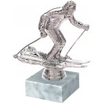 Soška lyžař sportovní pohár 11,7 cm stříbrná výška 11,7 cm – Zboží Mobilmania