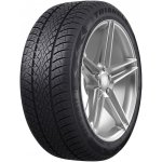Triangle WinterX TW401 205/55 R16 94V | Zboží Auto