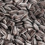 Biostan Biokron Slunečnice černá 5 kg – Zbozi.Blesk.cz