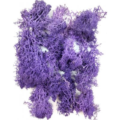 Stabilizovaný preparovaný mech lišejník do pryskyřice barevný 20 g Barva: Fialová – Hledejceny.cz