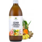 EkoMedica Zázvor kurkuma a piperin 500 ml – Hledejceny.cz
