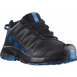 Salomon Xa Pro 3D v8 GTX M L41735300 black indigo/bunting ebony – Hledejceny.cz