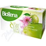 Biogena Ovocno bylinné čaje Fantastic Tea Jablko & echinacea 20 x 2 g – Hledejceny.cz