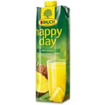 Rauch Happy Day ananas 100% 1l – Zboží Mobilmania